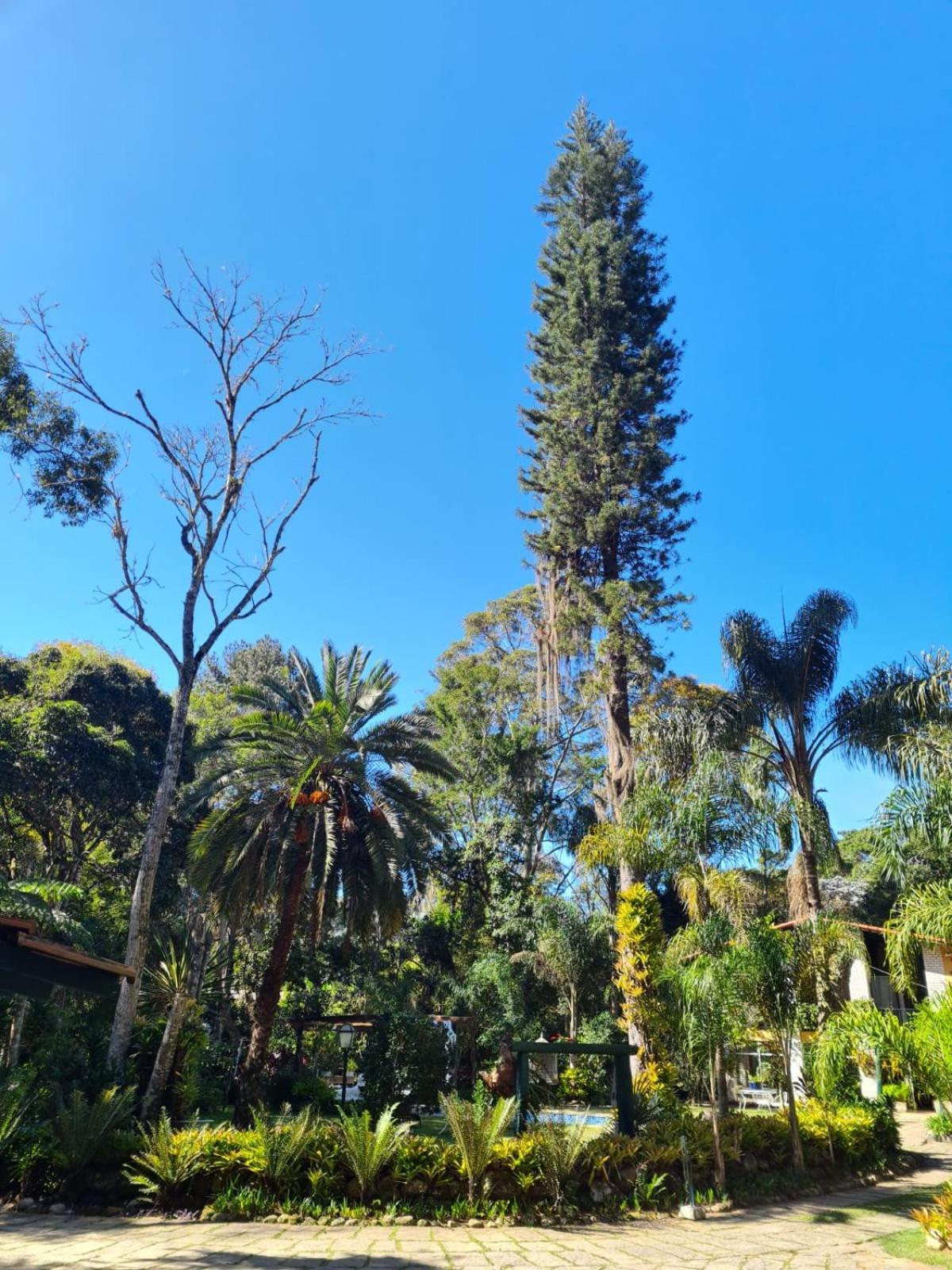 Pousada Villa Jambo Petrópolis Eksteriør billede