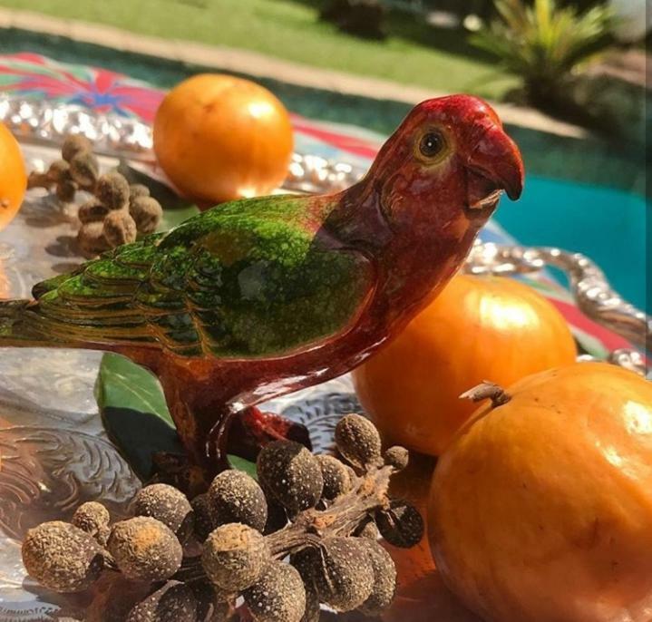 Pousada Villa Jambo Petrópolis Eksteriør billede